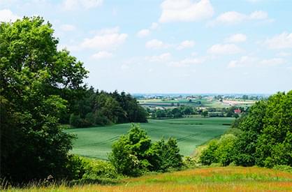 Vue sur la campagne depuis la terrasse intérieure